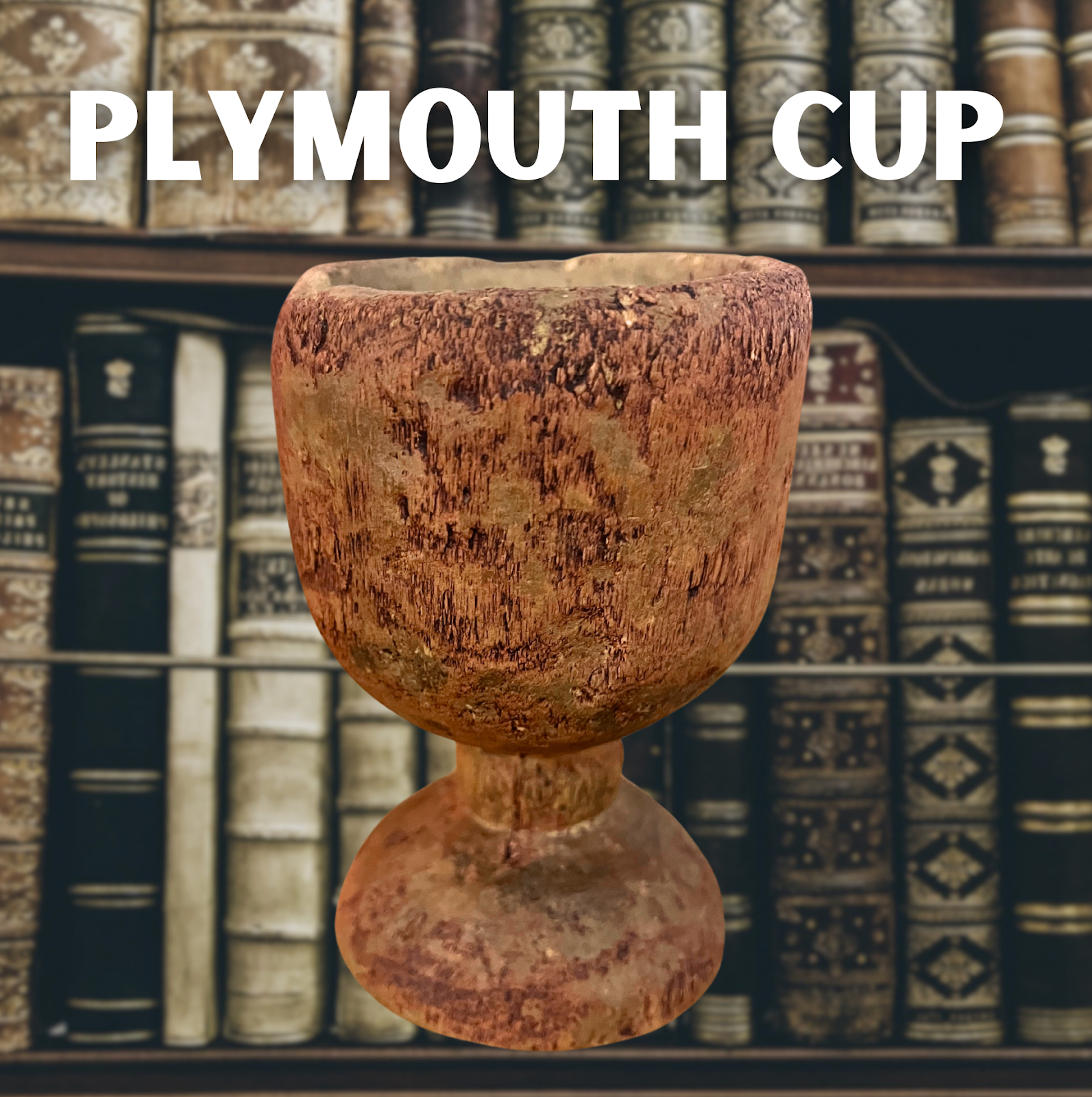 Plymouth Cup